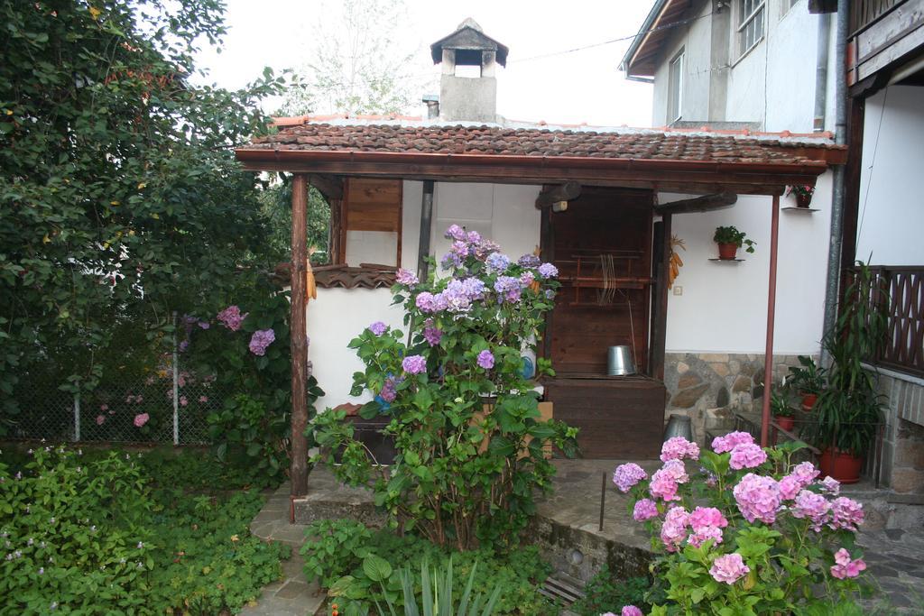 Todorova House Hotel ซลาโตกราด ภายนอก รูปภาพ